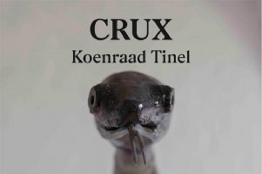 De affiche van Crux in Geraardsbergen.