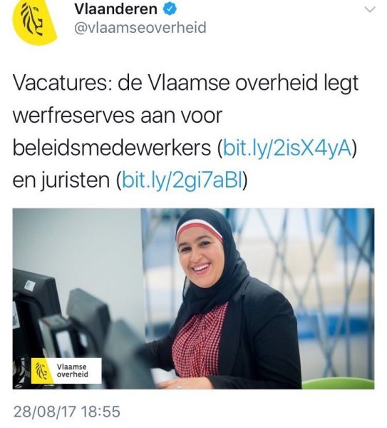 De ondertussen door de Vlaamse overheid verwijderde vacature.