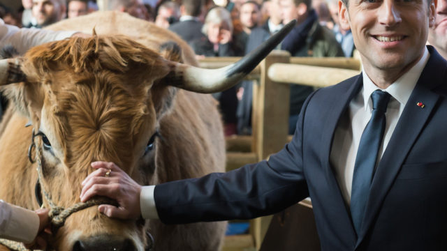 Emmanuel Macron koe