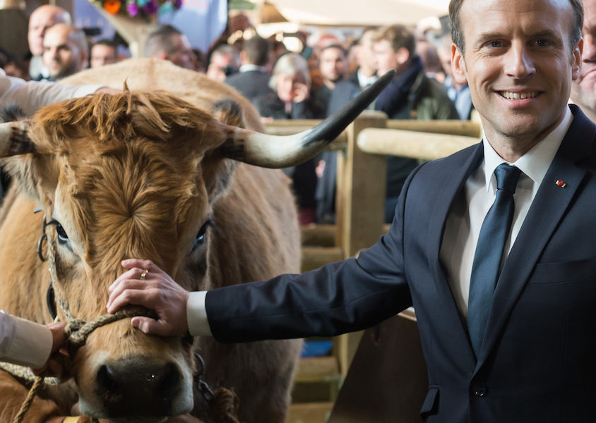 Emmanuel Macron koe