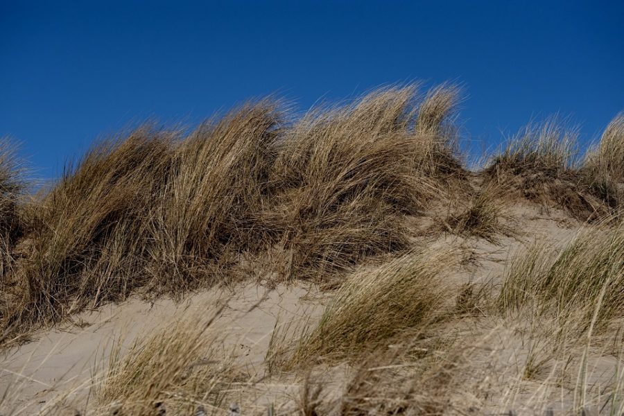 De duinen rond De Haan, het Vlaamse land van Cocagne