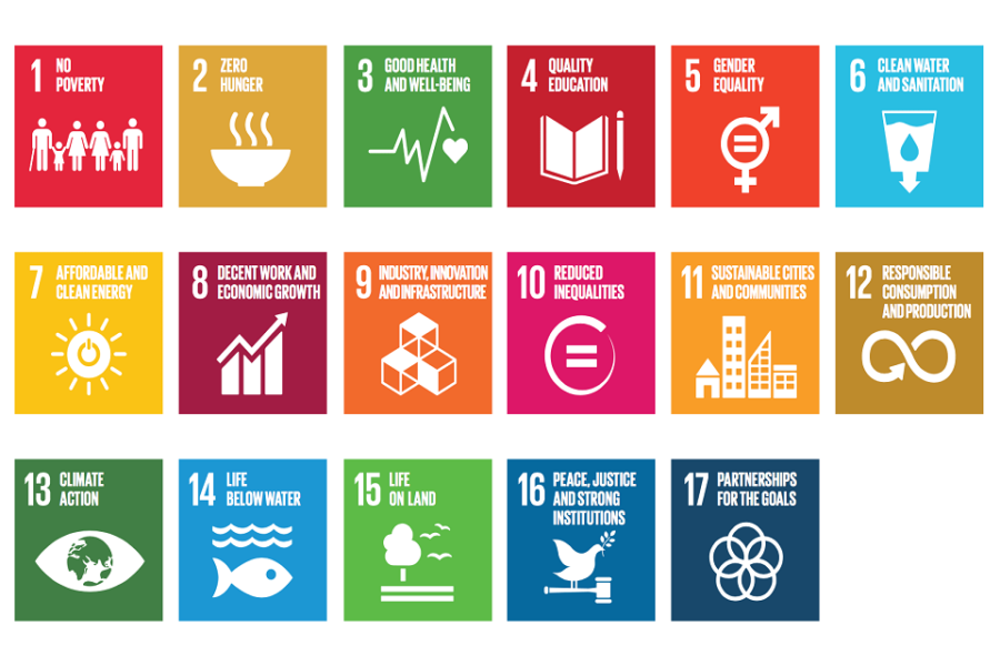 De 17 SDG’s