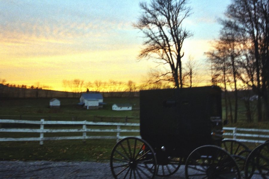 Zomer met de Amish