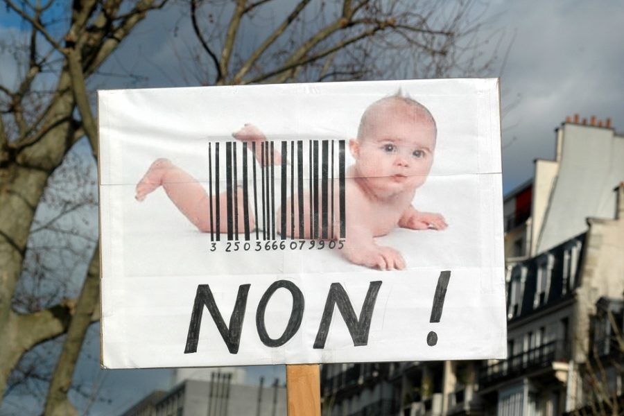 Foto van ‘La Manif Pour Tous’ (Protest voor iedereen) een beweging in Frankrijk
die opkomt voor de traditionele gezinswaarden. Parijs, februari 2014.