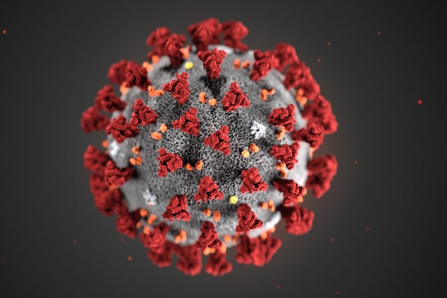 Visualisatie van het coronavirus