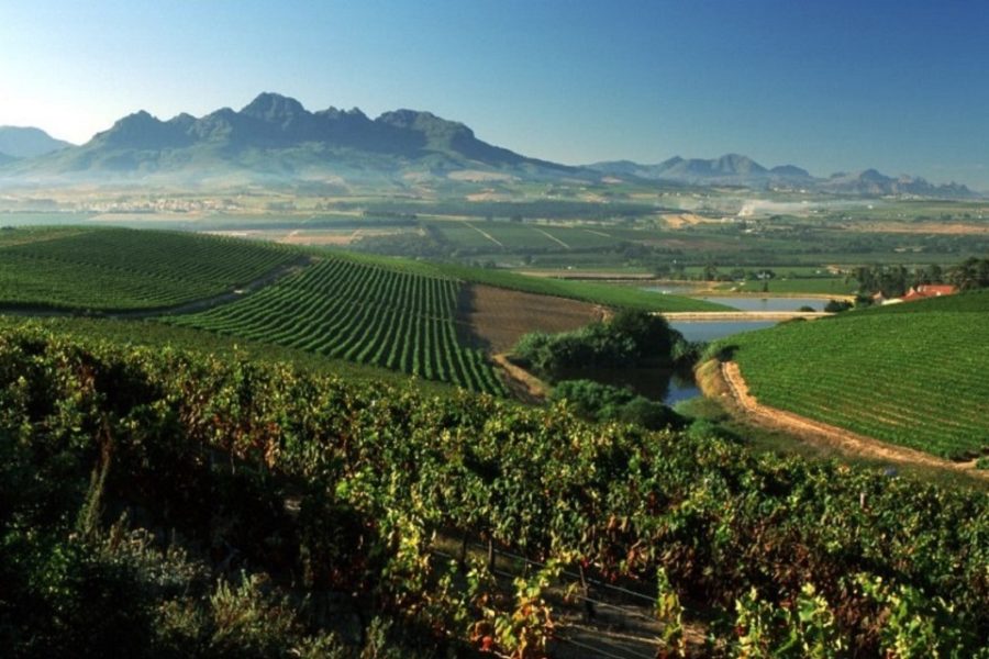 Wijngoed met uitzicht op de Helder Mountains, in de streek rond Stellenbosch