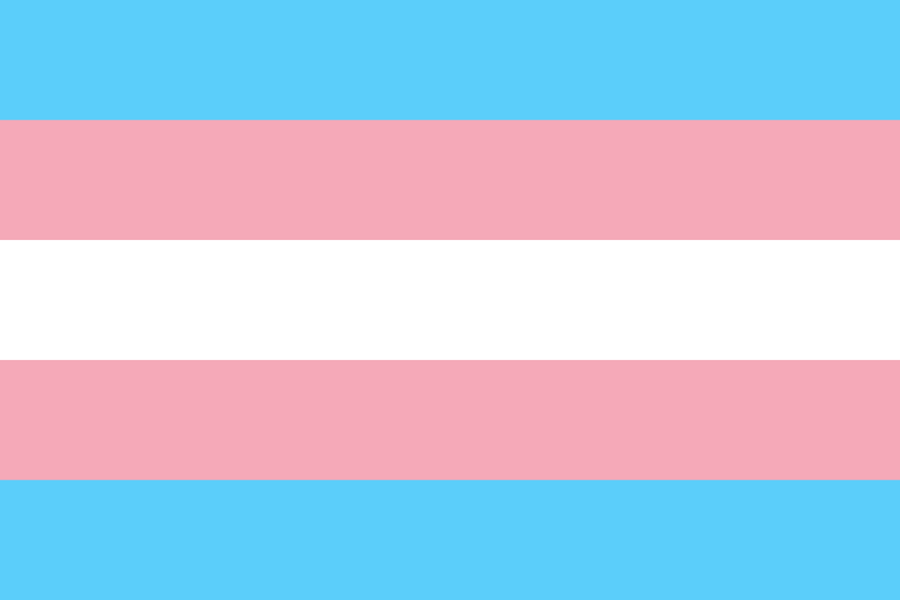 De transgendervlag