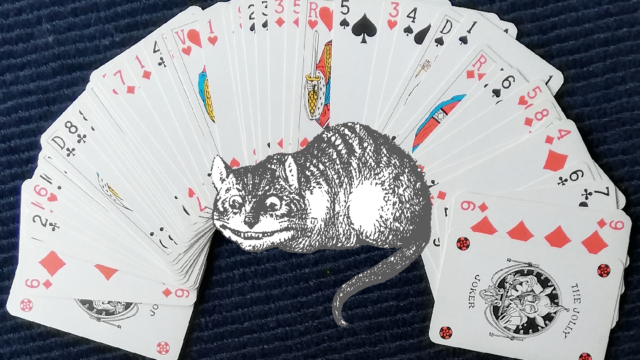 Kat in het kaartspel
