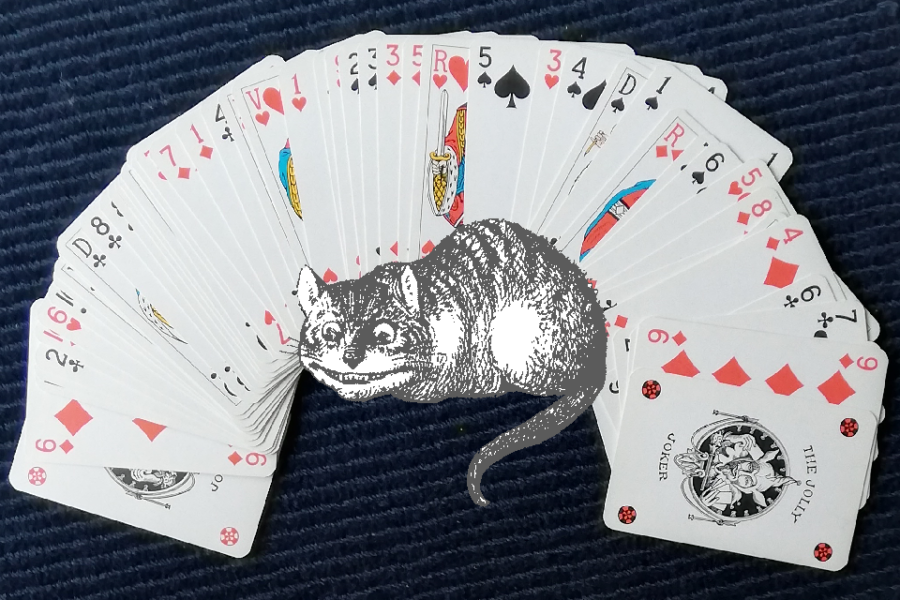 Een kat in het kaartspel
