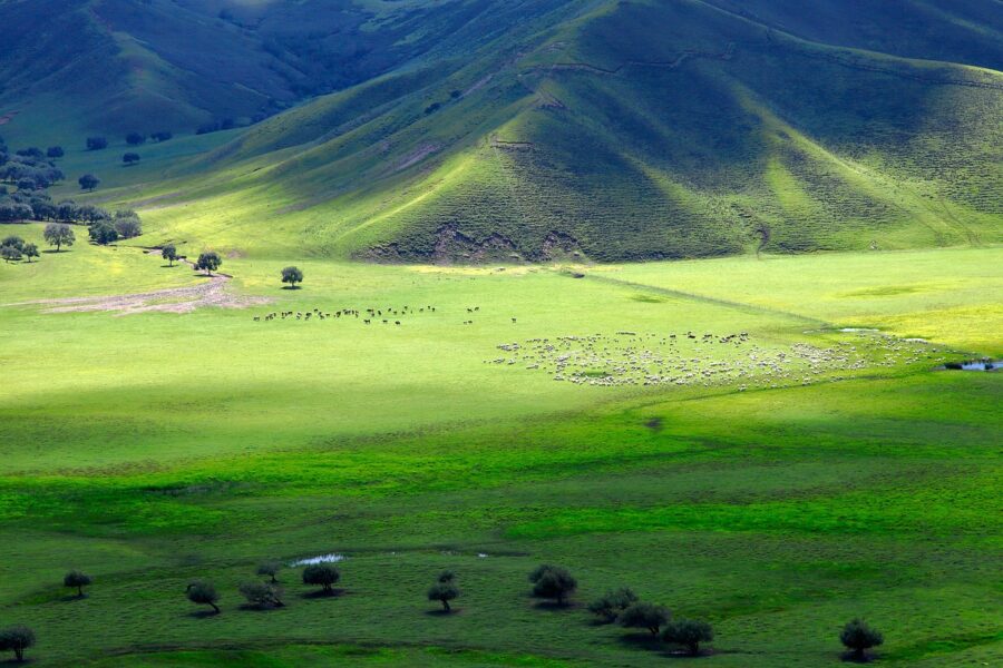 
Een typisch natuurlandschap in Centraal Mongolië