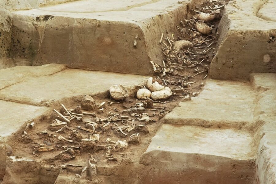 Het ontdekte massagraf uit het neolithicum, Herxheim/Duitsland 