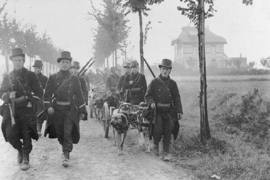 Karabiniers van het Belgisch leger in 1914