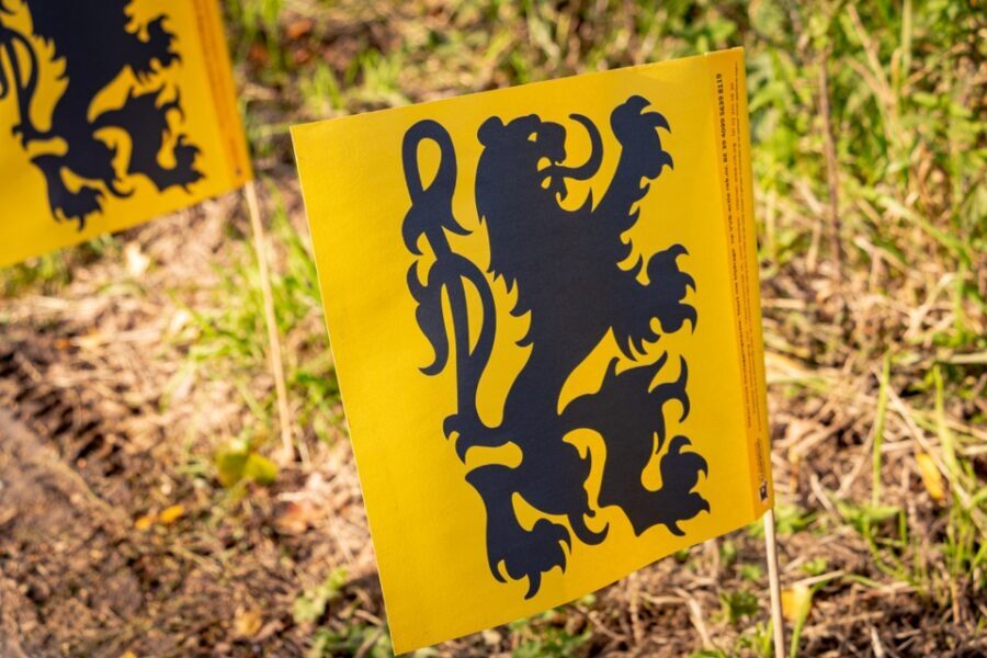 Vlaamse vlag.